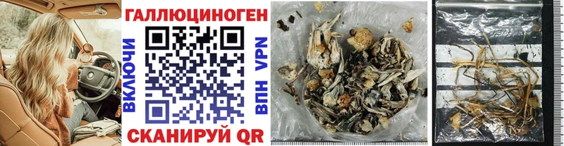 даркнет сайт  Саранск  Галлюциногенные грибы Psilocybe 